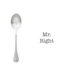 One Message Spoon Mr. Right